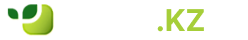 Vivus (Вивус): займ онлайн, личный кабинет, отзывы и условия 2023